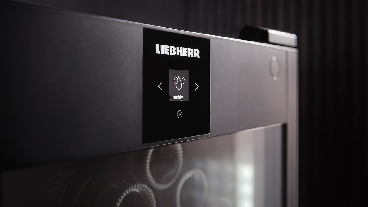 WSbl 4601 GrandCru Wine storage fridge - Liebherr